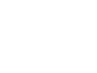 bachman detailing