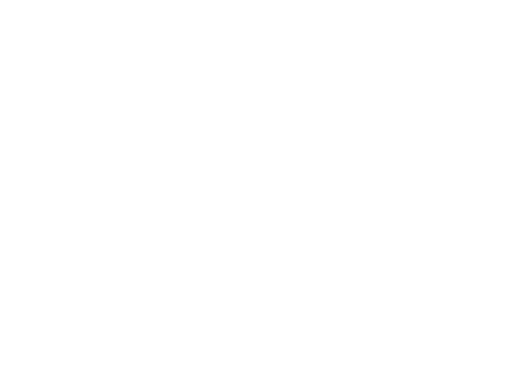 Bachman Detailing